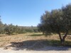 A v un lot de terrain à la compagne de Hammamet nord 24