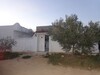 maison avec jardin a hammamet sud g
