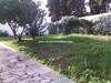 Villa Diana al à Hammamet zone theatre