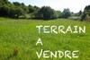 For sale one hectare olive trees a duikhla 10 min Hammamet downtown