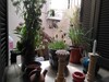 Good opportunity s + 1 apartment in New York City