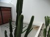 Villa NOISETTE	Réf: HAMMAMET