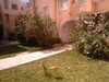 Offre a Hammamet zone Touristique Hammamet Nord