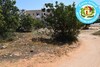 Offre exceptionnel à Hammamet terrain 5 min de la mer