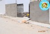 Good opportunity field 7 min from the sea of Hammamet