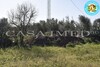 un superbe terrain 6km de Yasmine Hammamet