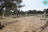 un superbe terrain zone touristique hammamet