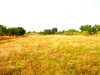 terrain à bni wael 550m AD