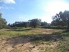 av terrain de 550 à MENCHAR proche à hammamet yasmine
