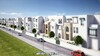 Residence flowers near the medina and carthage land