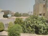 Un bel appartement très propre à hammamet