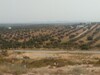 1000 m a 135 Md avec belle vu