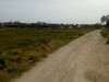 1250 m a 145 Md a ysmmine hammmamt