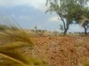 tayara case on road g between bir mudgba and borj hfyth