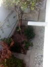 belle maison a hammamt centre ville a vendre