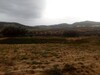 un terrain agricole a vendre a latrech compagne de hammamt