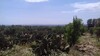 terrain agricole de 2700 près de hammamet centre ville