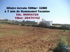 beau lot de terrain de 500m² à menchar hammamet