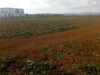 600m pas loin de yassmin hammamet