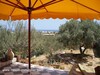 VILLA FLOWER Hammamet Route ceinture A