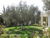 VILLA ILINE Hammamet Nord Cité Kharrouba A