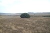 AV terrain tel jawal la campagne de hammamet