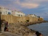 un lots de terrain pied dans l'eau a hammamt