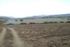 AV terrain tel jawal à la campagne de hammamet