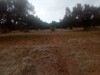 1450 m to 5 min from hammamt beach