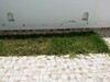 Maison HOUDA 2Réf: non meublée