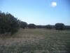 terrain agricole de 19200m² à bouficha