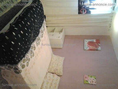 مخطط العقار