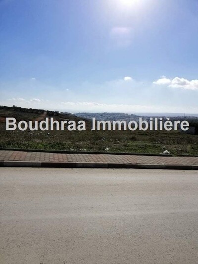 مخطط العقار