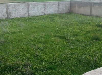 مخطط العقار