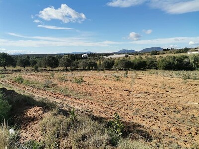 مخطط العقار