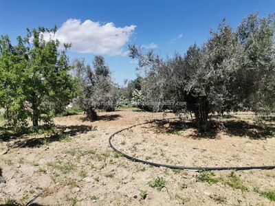 مخطط العقار