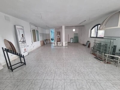 مخطط العقار