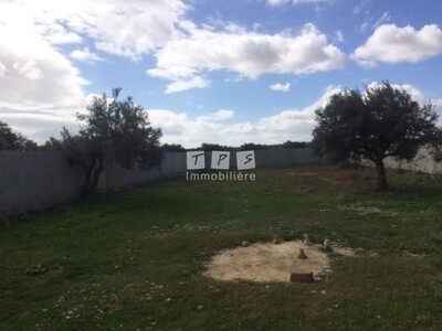 Plan du bien