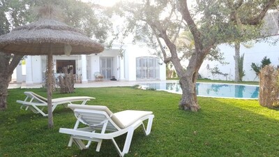 مخطط العقار