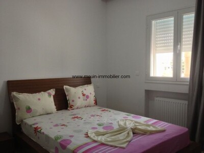 مخطط العقار