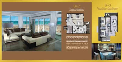 مخطط العقار