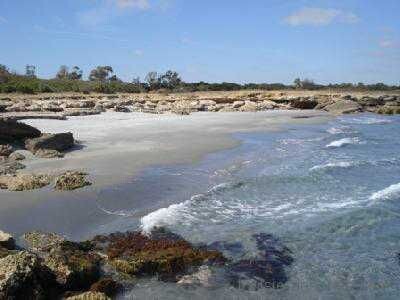 مخطط العقار