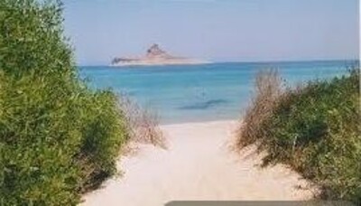 مخطط العقار