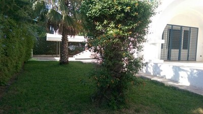 مخطط العقار