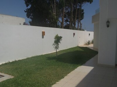 مخطط العقار