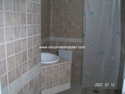 مخطط العقار