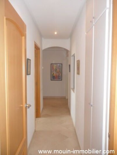 مخطط العقار