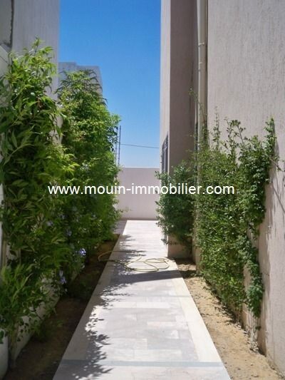 مخطط العقار