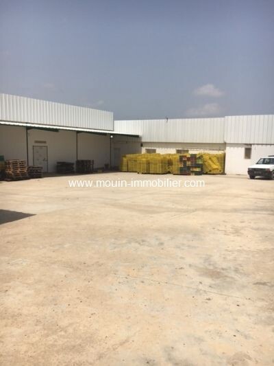 مخطط العقار