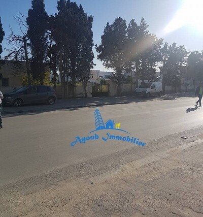 مخطط العقار